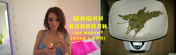 мет Няндома