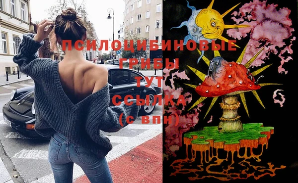 мет Няндома