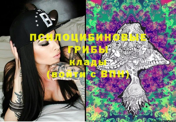 PSILOCYBIN Нязепетровск