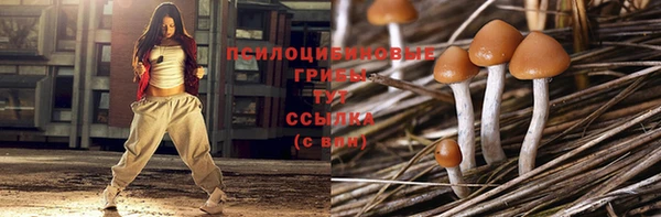 PSILOCYBIN Нязепетровск