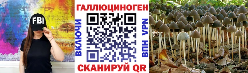 Купить  Тотьма  Псилоцибиновые грибы мицелий 